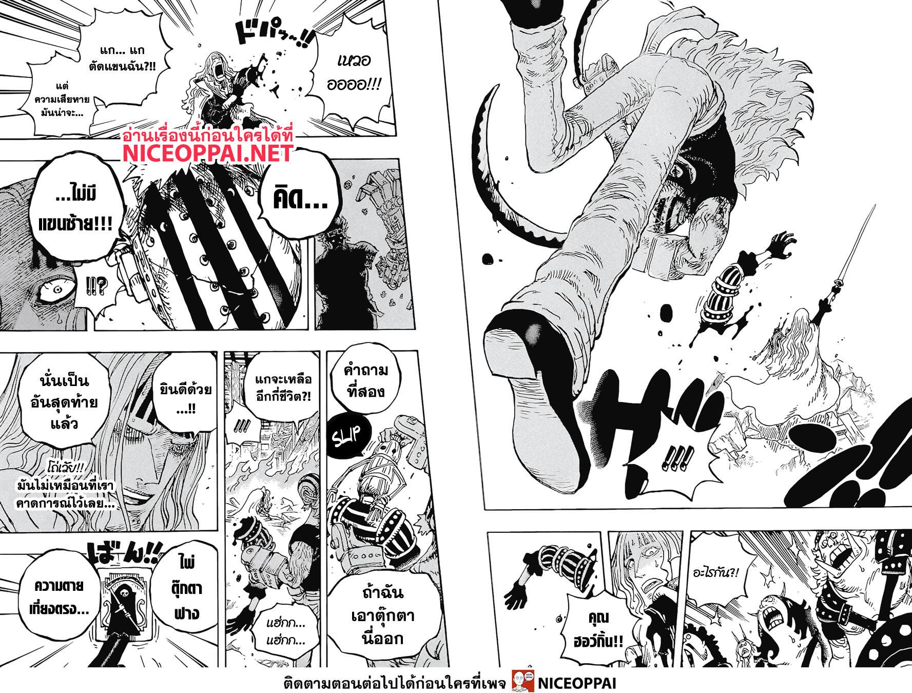 One Piece วันพีซ ตอนที่ 1029